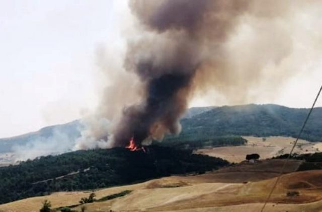 Bando della Regione Siciliana per aziende agricole danneggiate dagli incendi